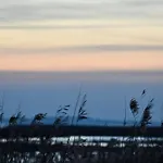 Boddenliebe Polchow (Vorpommern-Rugen)