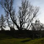 Boddenliebe Apartmán