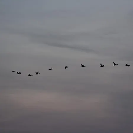 Boddenliebe דירה