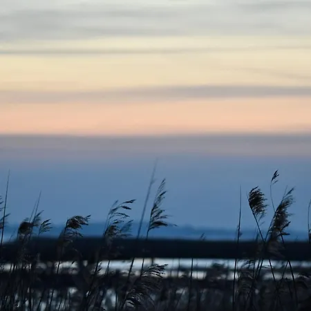 Boddenliebe Polchow (Vorpommern-Rugen)