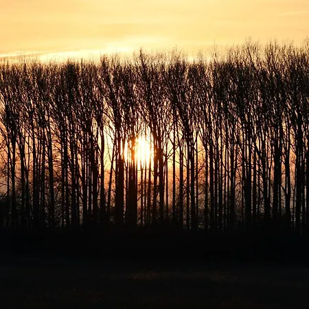 דירה Boddenliebe *