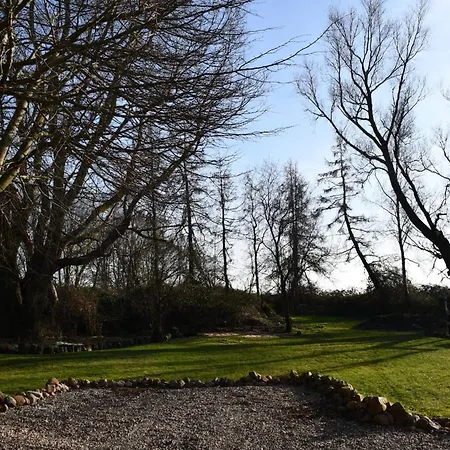 Boddenliebe * Polchow (Vorpommern-Rugen)